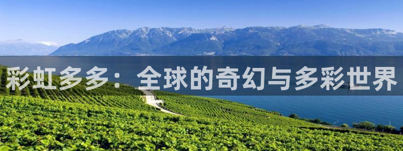 k8凯发体育凯捷平台招商：彩虹多多：全球的奇幻与多彩世界