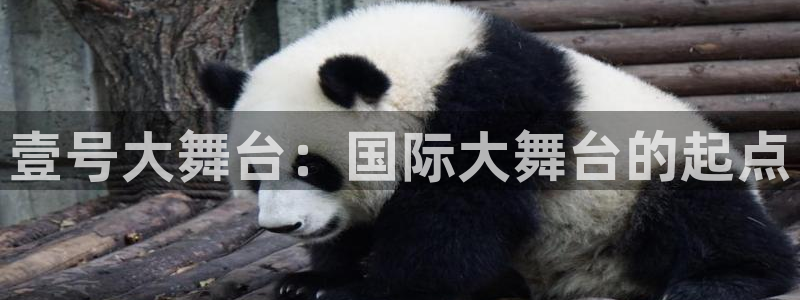 上海k8凯发汽车电子有限公司：壹号大舞台：国际大舞台的起点