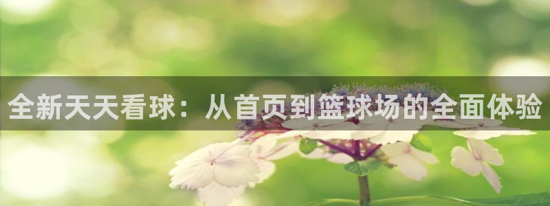k8凯发招商：全新天天看球：从首页到篮球场的全面体验