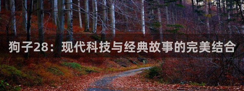 k8凯发凯捷开号链接：狗子28：现代科技与经典故事的完美结合