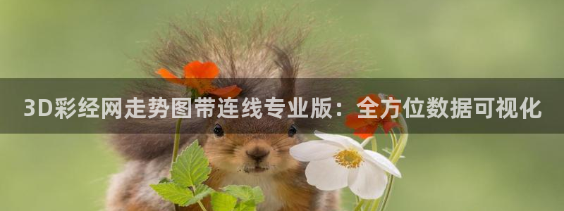 k8凯发2登录地址：3D彩经网走势图带连线专业版：全方位数据可视化