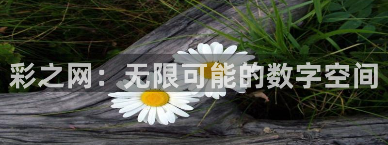 k8凯发登陆：彩之网：无限可能的数字空间