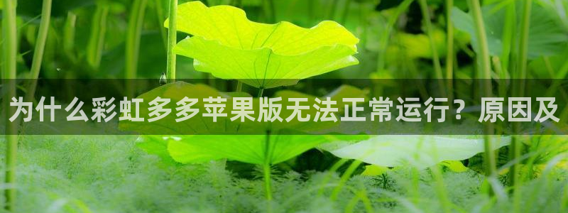德国k8凯发集团：为什么彩虹多多苹果版无法正常运行？原因及