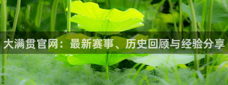 k8凯发体育注册平台：大满贯官网：最新赛事、历史回顾与经验分享